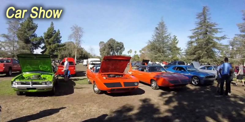 Car Show