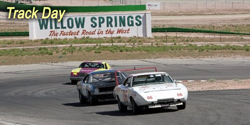 Willow Springs Track Day